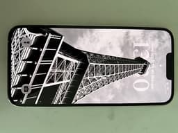 Apple iPhone 13 Pro Max 256 GB