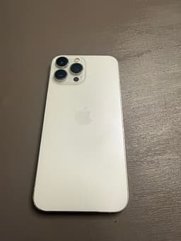 Apple iPhone 13 Pro Max