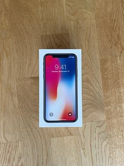 iPhone X