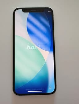 iPhone 12 Mini