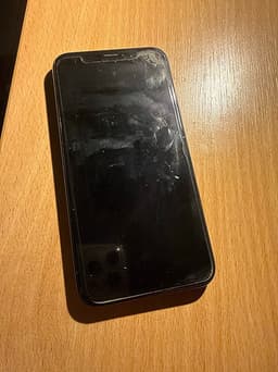 iPhone X