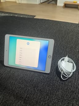 Apple iPad Mini 5 generation 64 GB rosa guld