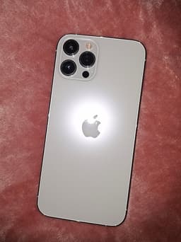 Apple iPhone 12 Pro Max 256 GB silver