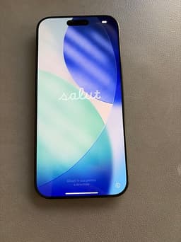 Apple iPhone 16 Pro Max 256 GB svart