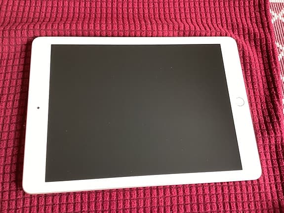 Apple iPad