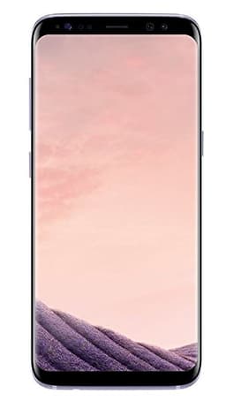 Samsung Galaxy S8 64GB [Dual-Sim] orchid grey