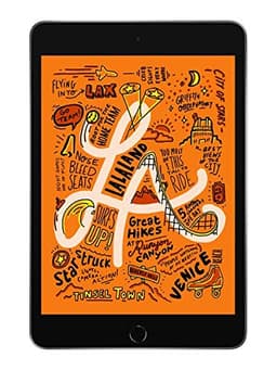 Apple iPad Mini 5 (2019) 64GB [79" WiFi only] spacegrau