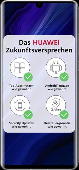 Huawei P30 Pro New Edition 256GB [Dual-Sim] silber