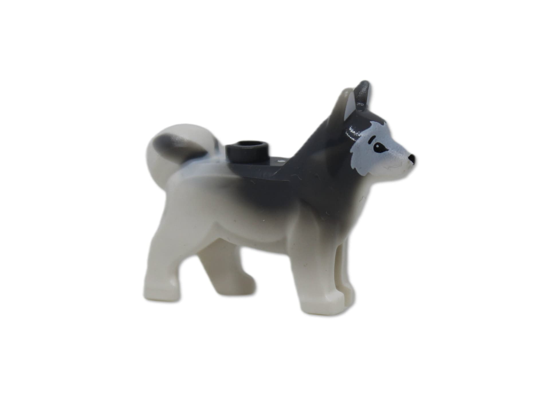 1x LEGO Tier Hund Husky mit schwarzen Augen schwarzer Nase [2g 3x1.9x1cm] weiß