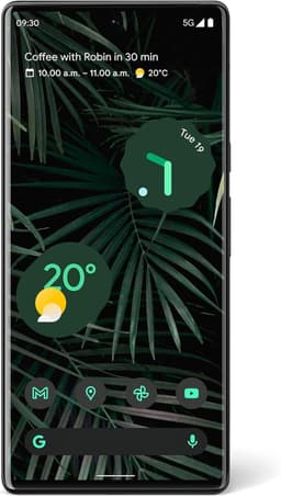 Google Pixel 6 Pro 128GB [Single-Sim] stormy black