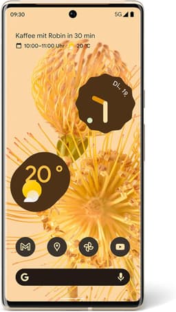 Google Pixel 6 Pro 128GB [Single-Sim] sorta sunny