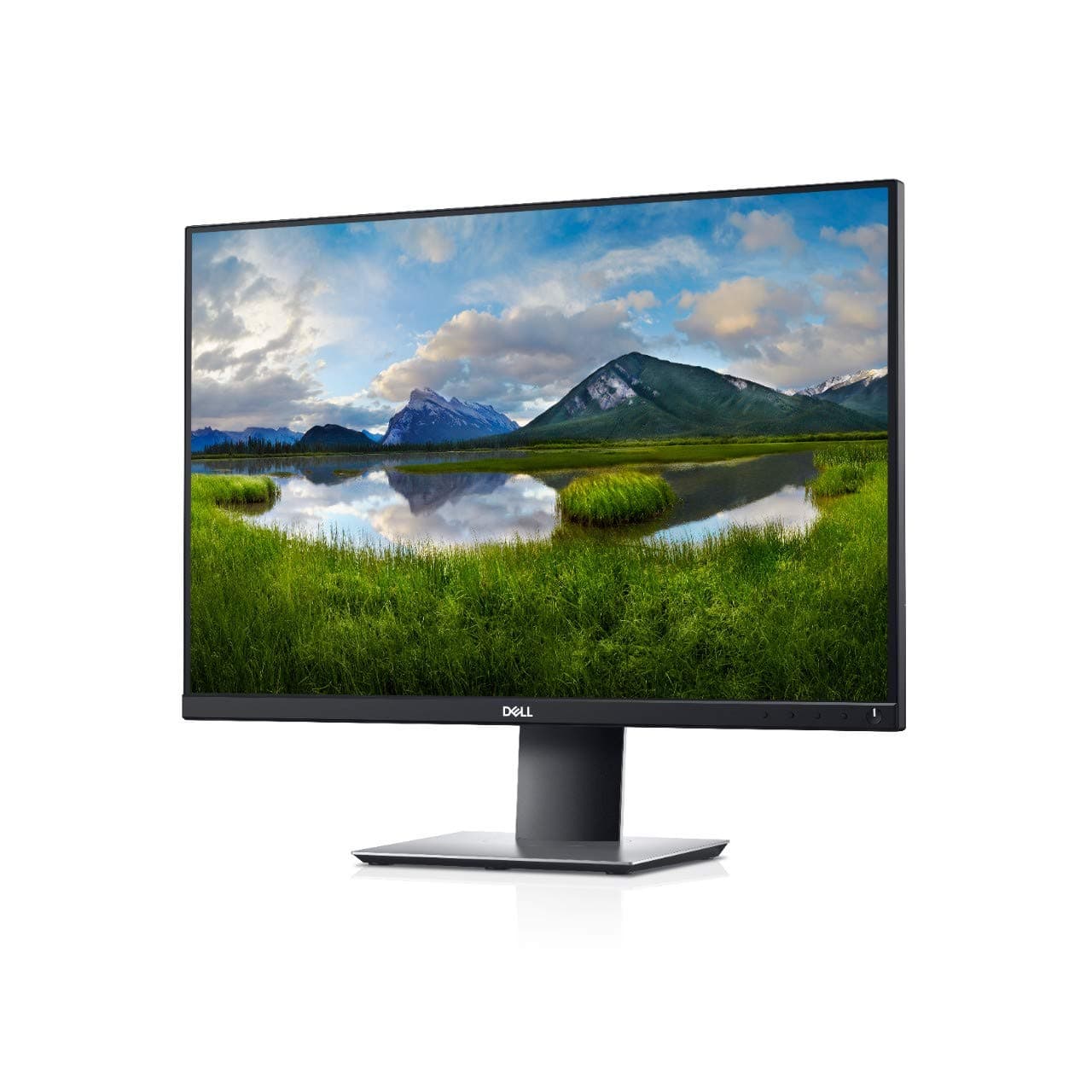 Dell P2421 [241" 1.920x1.200 60Hz VGA DVI HDMI DisplayPort 5ms Reaktionszeit] schwarz