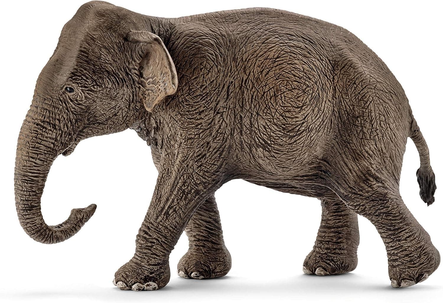Schleich Wild Life 14753 - Asiatische Elefantenkuh