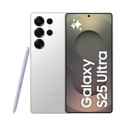 Samsung Galaxy S25 Ultra 256GB [Dual-Sim] titanium silver