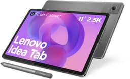 Lenovo IdeaTab TB336FU 128GB [11'' WiFi only 8GB RAM inkl.Tab Pen Plus] luna grey