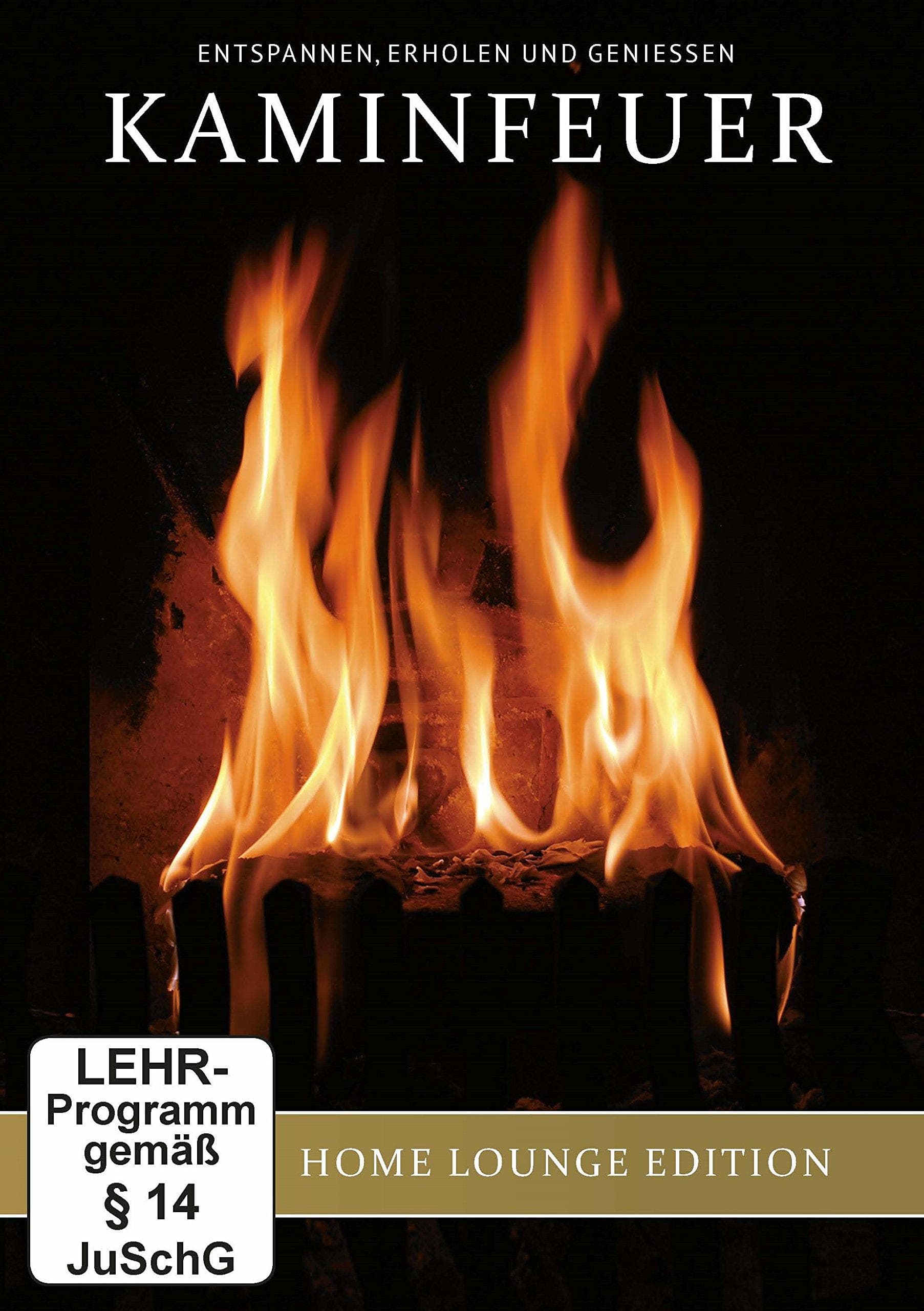 Kaminfeuer - Plasma & LCD TV Qualität 16:9 [DVD] [2008]