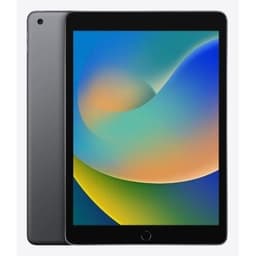 Apple - iPad (2021) - 10,2" - WiFi - 64 GB - Space Grey - Begagnad - Mycket bra skick
