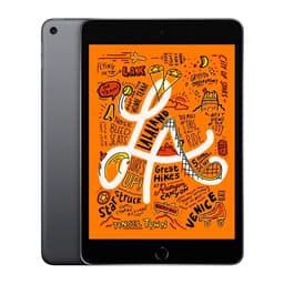 Begagnad iPad Mini 5 256GB Rymdgrå - Använt skick