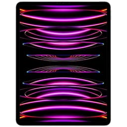 Apple iPad Pro 12,9" 6:e generationen (2022) 128 GB WiFi + Cellular, rymdgrå - C - Av partner