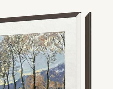 TCL FRM652A-O tillbehör till tv-apparat - Nyskick - i originalförpackning