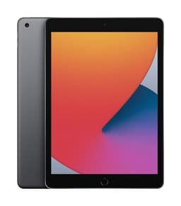 iPad 10,2'' 32 Go Gris Sidéral Wi-Fi 8ème génération Mi 2020