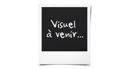 Console Sony Playstation 4 + Killzone Shadow Falls - PS4