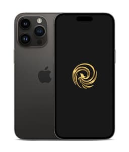 Apple iPhone 14 Pro 6,12" 5G 128 Go Double SIM Noir Sidéral Reconditionné Grade A Reborn