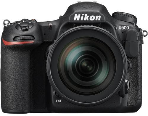 NIKON D500 + AF-S DX 16-80 KIT