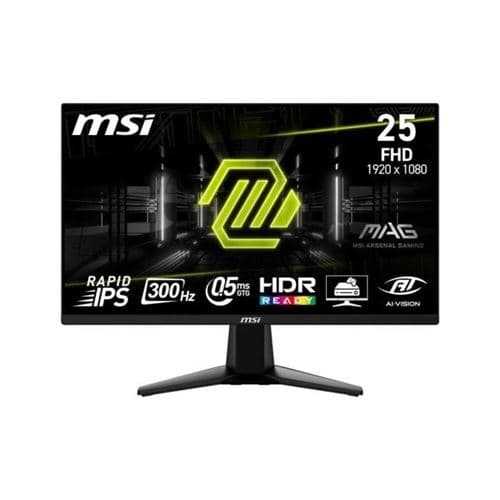 MSI MAG 255XF - Écran LED - jeux - 25" (24.5" visualisable) - 1920 x 1080 Full HD (1080p) @ 300 Hz - Fast IPS - 250 cd/m² - 1000:1 - 0.5 ms - 2xHDMI, DisplayPort - noir métallisé