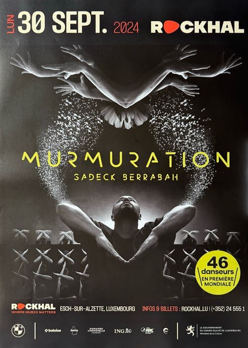 Affiche - Murmuration - Sadeck Berrabah - Luxembourg 2024 - 60x86cm