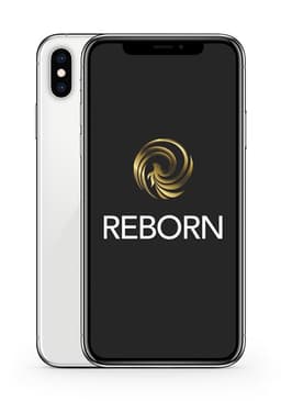 Apple iPhone X 5,8" 64 Go Nano SIM Argent Reconditionné Reborn