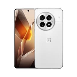 OnePlus 13 - 5G smartphone - double SIM - RAM 16 Go / Mémoire interne 512 Go - écran OEL - 6.82" - 3168 x 1440 pixels (120 Hz) - 3 x caméras arrière 50 MP, 50 MP, 50 MP - front camera 32 MP - aube arctique