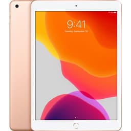 Apple 10.2-inch iPad Wi-Fi - 7ème génération - tablette - 32 Go - 10.2" IPS (2160 x 1620) - or