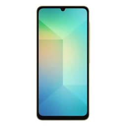 Samsung Galaxy A06 - 4G smartphone - double SIM - RAM 4 Go / Mémoire interne 64 Go - microSD slot - Écran LCD - 6.7" - 1600 x 720 pixels (60 Hz) - 2x caméras arrière 50 MP, 2 MP - front camera 8 MP - or