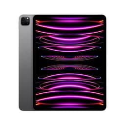 Apple iPad Pro 12,9" Puce Apple M2 2To Gris Sidéral Wifi Fin 2022