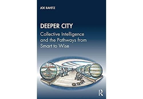 Deeper City: Collective Intelligence and the Pathways from Smart to Wise (English Edition) Format Kindle