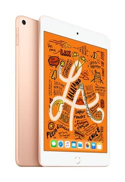iPad Mini 64 Go WiFi Or 7.9" 5 ème génération Début 2019