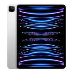 iPad Pro 12.9" Wi-Fi + Cellular M2 (6th Gen) 256GB Grade C Refurbished