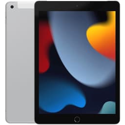 iPad 10,2 9:e gen (2021) Silver 64 GB Wifi Klass B Nytt batteri (refurbished)