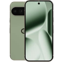 Google Pixel 10 Pro Jade 256 GB Klass B (refurbished)