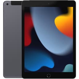 iPad 10,2 9:e gen (2021) Space Gray 64 GB Wifi + Cellular Klass C Nytt batteri (refurbished)
