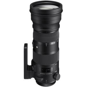 Sigma 150-600mm f/5-6.3 DG OS (HSM) S (Sport) FX Lens for Nikon F-Mount | 105 | - BGN - Bargain - With Hood, Caps, & Case | Used