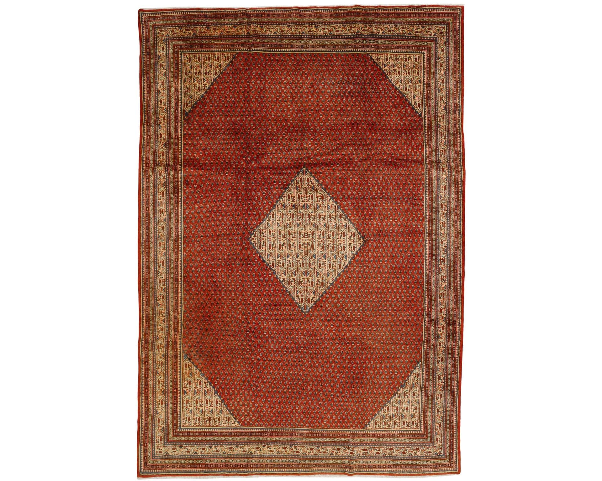 Rezas orientalisk x Mir Boteh matta 281 x 414 cm