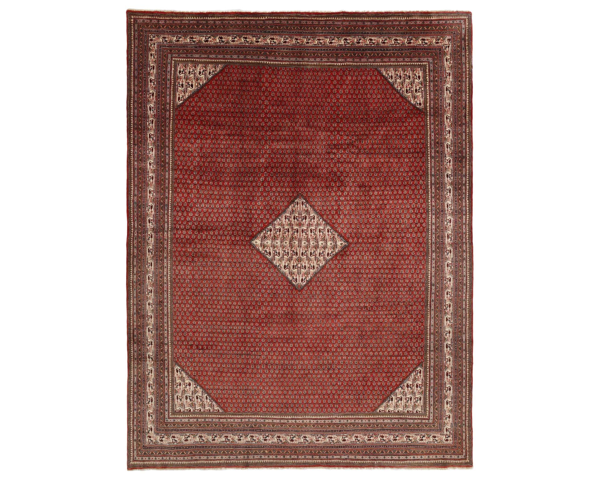 Rezas orientalisk x Mir Boteh matta 289 x 386 cm