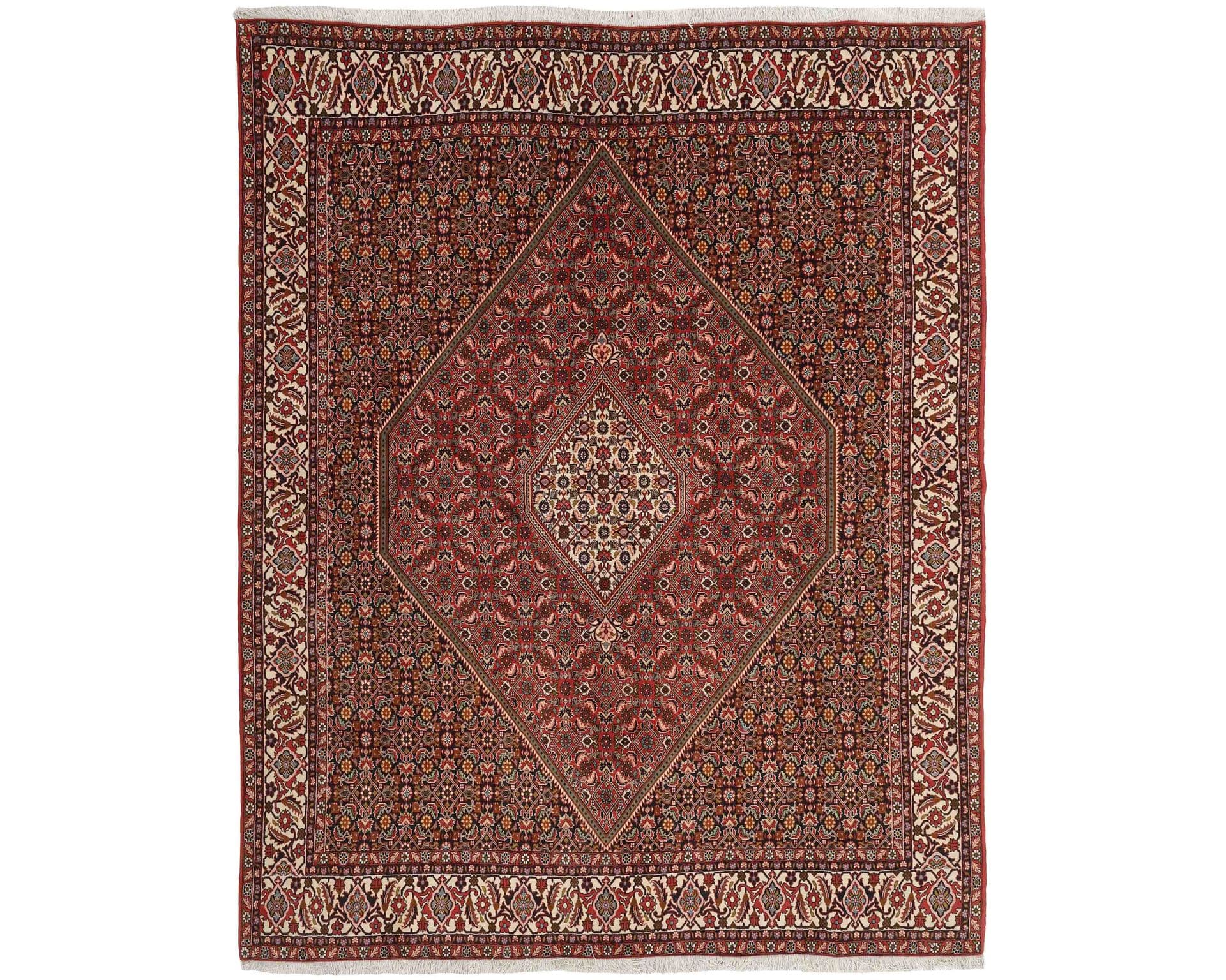 Bidjar Zandjan orientalisk matta 246 x 305 cm