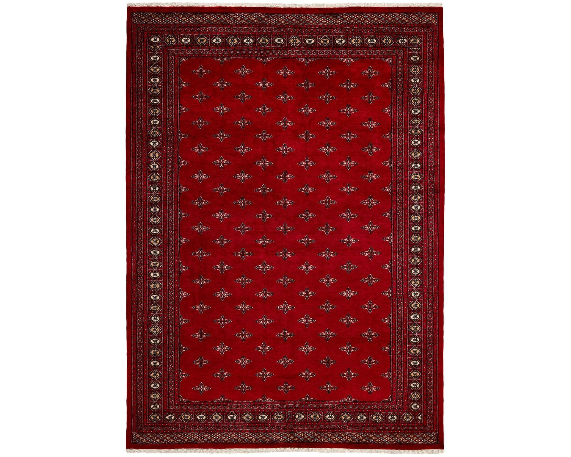 Pakistan handknotted orientalisk matta 249 x 351 cm