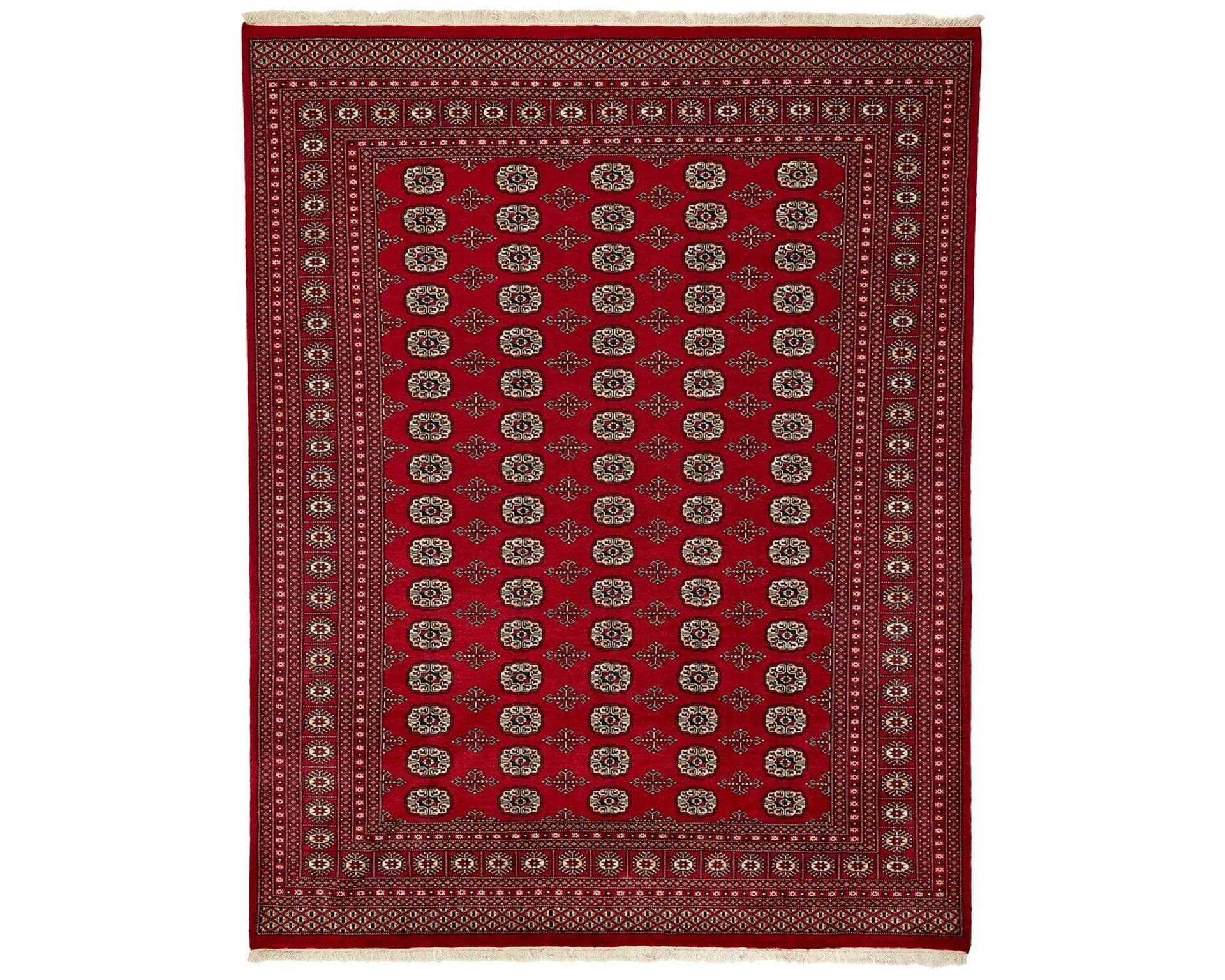 Pakistan handknotted orientalisk matta 247 x 314 cm