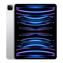 iPad Pro 12.9" Wi-Fi + Cellular M2 (6th Gen) 1TB Silver