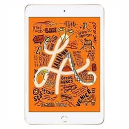 iPad Mini 5th Gen (2019) 256GB Gold - Good