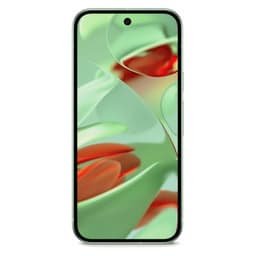 Google Pixel 9 256GB Wintergreen Unlocked - Good